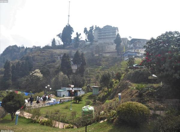 Tren Eléctrico Circuito